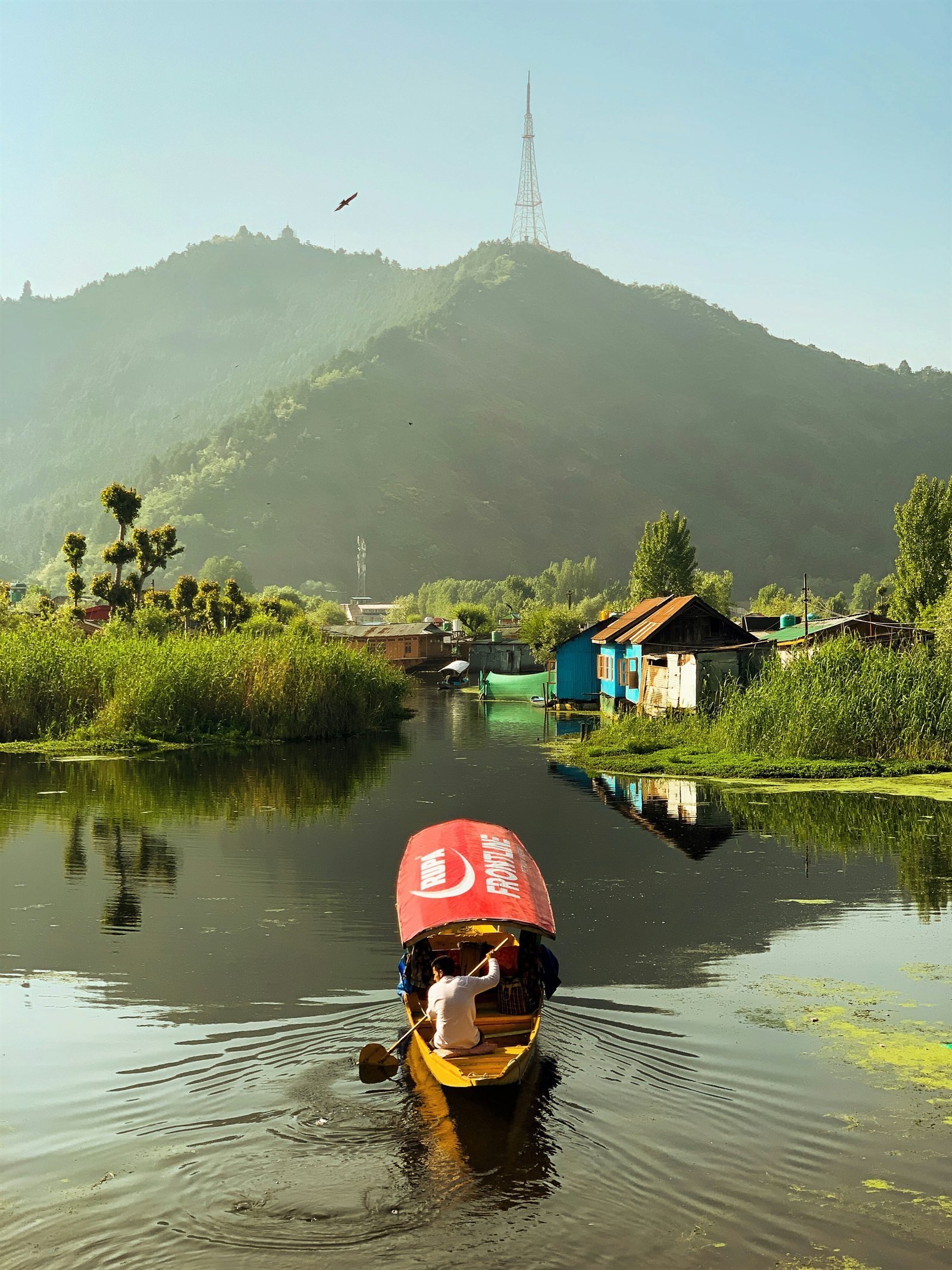 Traditional Shikara boat cruising on calm Dal Lake with Shankaracharya hill
